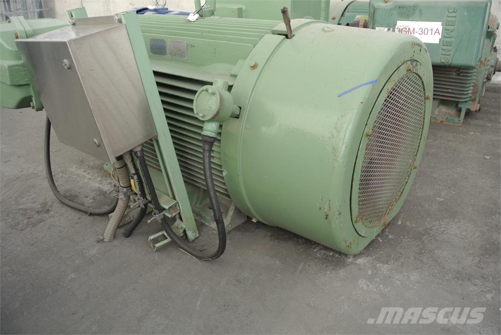 Siemens CGZZ Pramoniniai varikliai