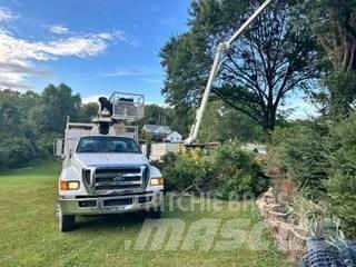 Ford F-750 Automobiliniai kranai