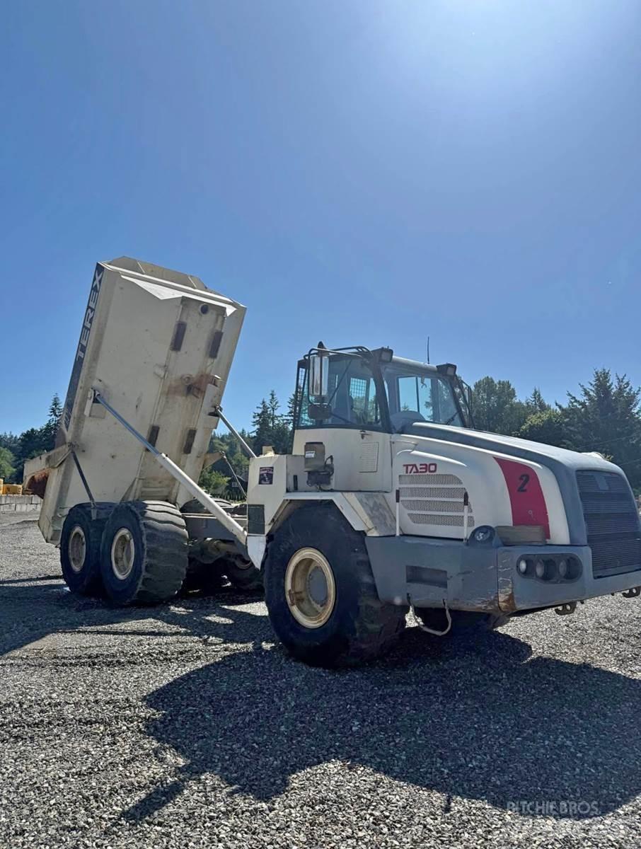 Terex TA30 Krovininiai furgonai