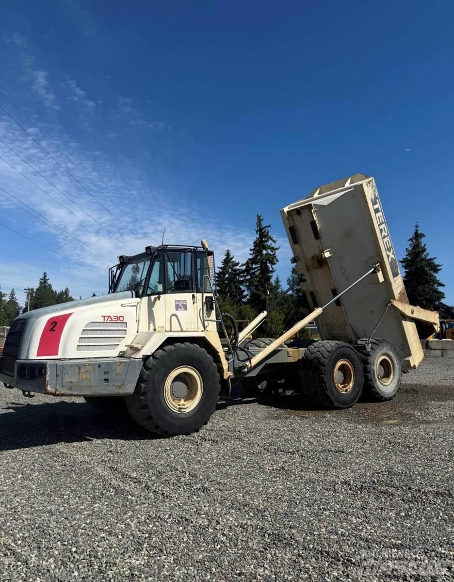 Terex TA30 Krovininiai furgonai