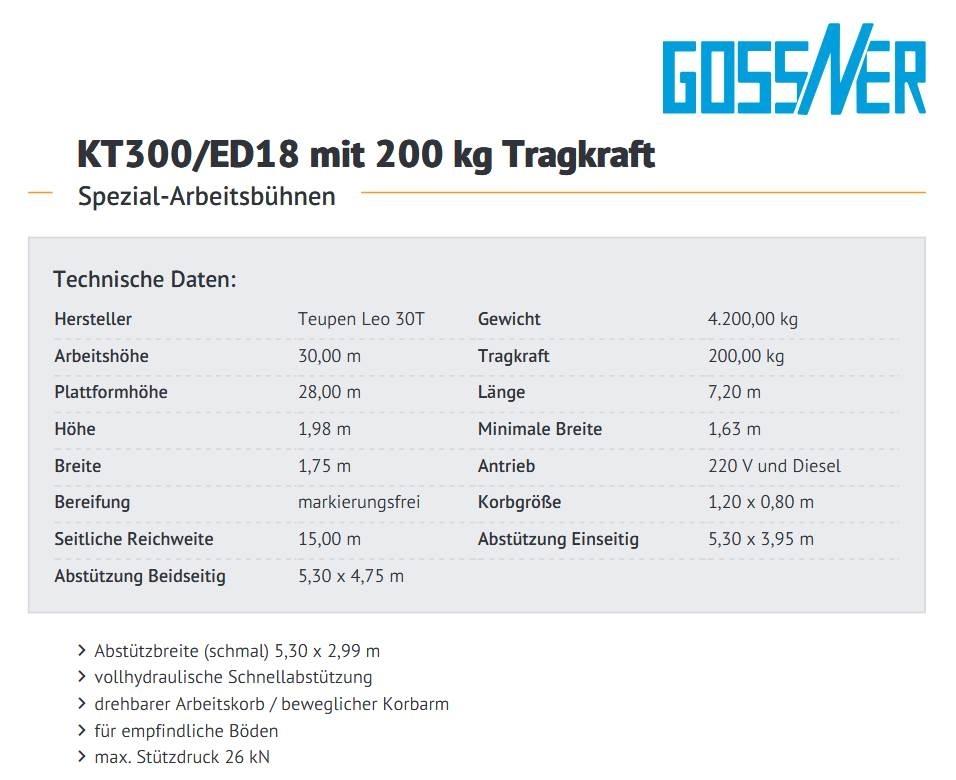 Teupen Leo 30 T Kompaktiškas savaeigis strėlinis keltuvas