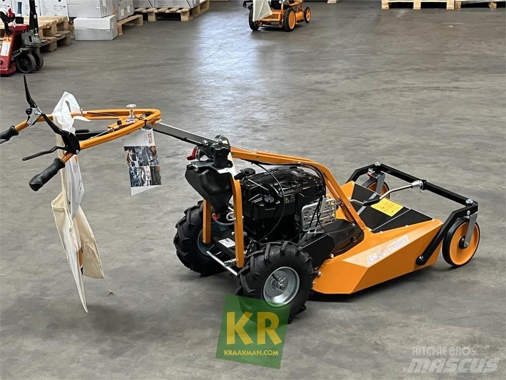 AS Motor AS Golfo laukų šienapjovės