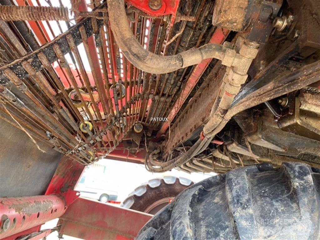 Grimme GT170 S Bulvių kombainai ir ekskavatoriai