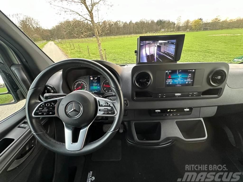 Mercedes-Benz Sprinter 315 AMG 2-paards paardenvrachtwagen B-rij Gyvulių pervežimo technika