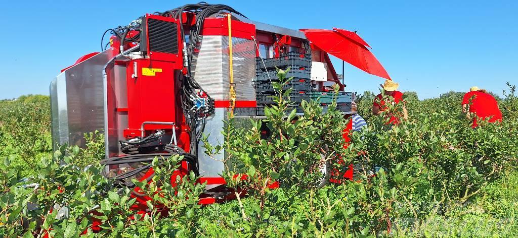 Weremczuk Kombajn do malin KAREN | Raspberry harvester Vynuogių derliaus nuėmimo technika