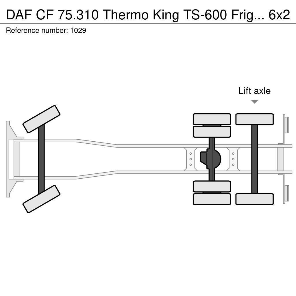 DAF CF 75.310 Thermo King TS-600 Frigo 6x2 Manuel Gear Vilkikai šaldytuvai