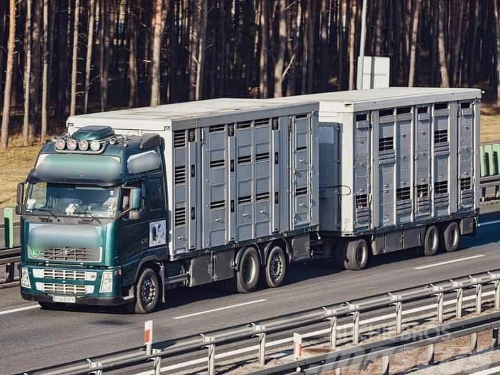 Volvo FH 12 Animal transporter Gyvulių pervežimo technika
