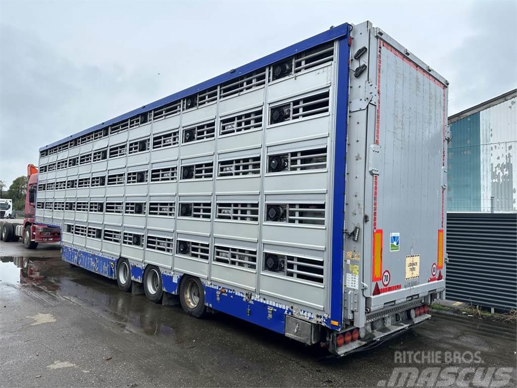 Pezzaioli 5-stock Grise trailer 5-stock Puspriekabės gyvuliams