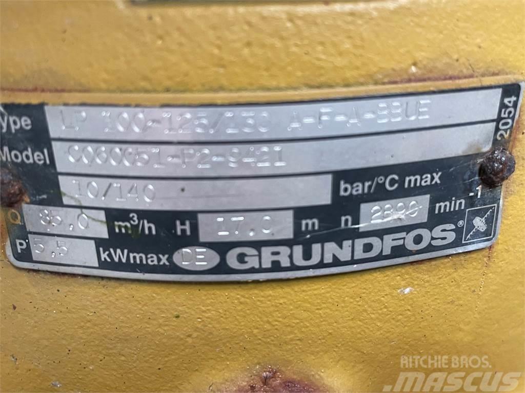 Grundfos type LP 100-125/130 A-F-A-BBUE pumpe Vandens siurbliai